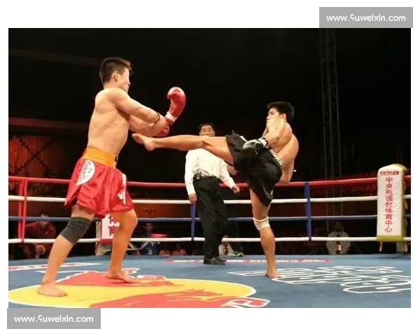 2000 散打王经典：程志刚接腿反击显锋芒